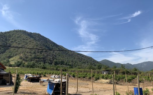 Campo de 40 hectáreas en Alhué, Provincia de Melipilla