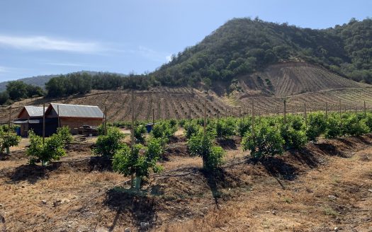 Campo de 40 hectáreas en Alhué, Provincia de Melipilla