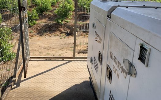 Campo de 40 hectáreas en Alhué, Provincia de Melipilla